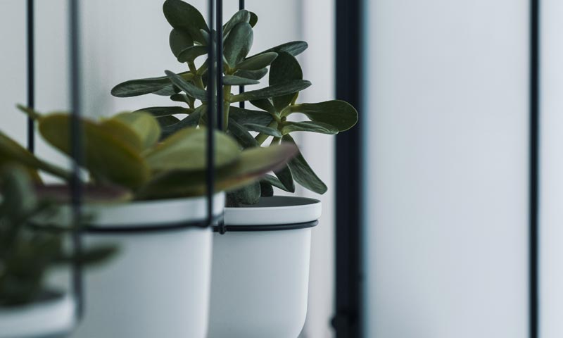 Ιατρείο Δερματολογίας & Αισθητικής | Αναστασοπούλου Ελίνα